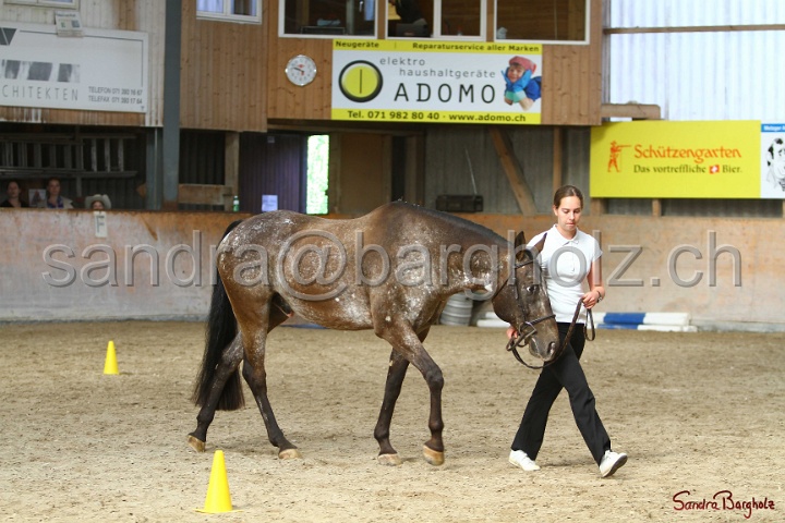 24-ApHC HIH_095.jpg